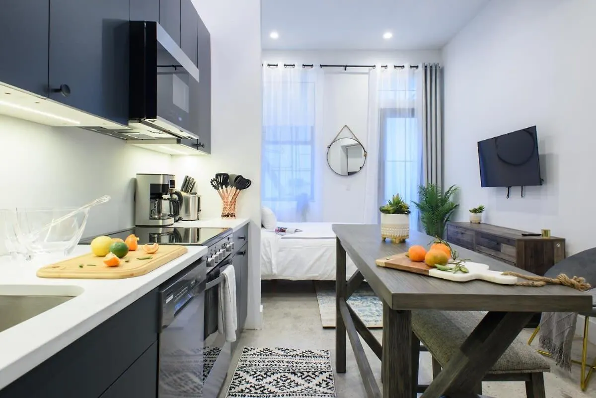3-1 New Prime East Village Private Terrace New York